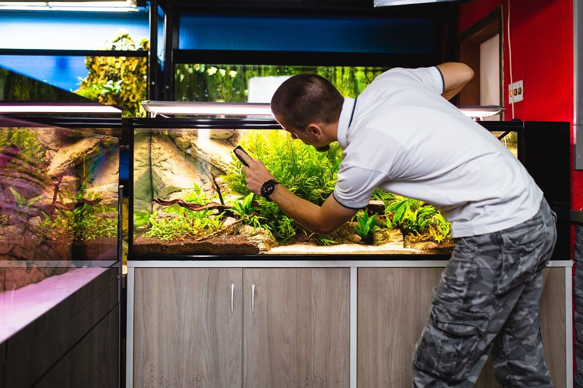 Man cleaning aquarium using magnetic fish tank cleaner.